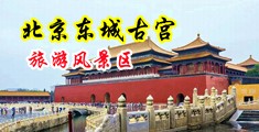 操逼亚洲美女中国北京-东城古宫旅游风景区
